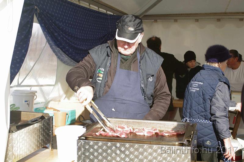 torokbalint_sautanz_fesztival_budakeszi_2017_010.JPG