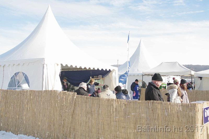 torokbalint_sautanz_fesztival_budakeszi_2017_025.JPG