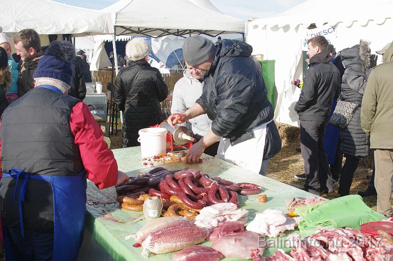 torokbalint_sautanz_fesztival_budakeszi_2017_032.JPG