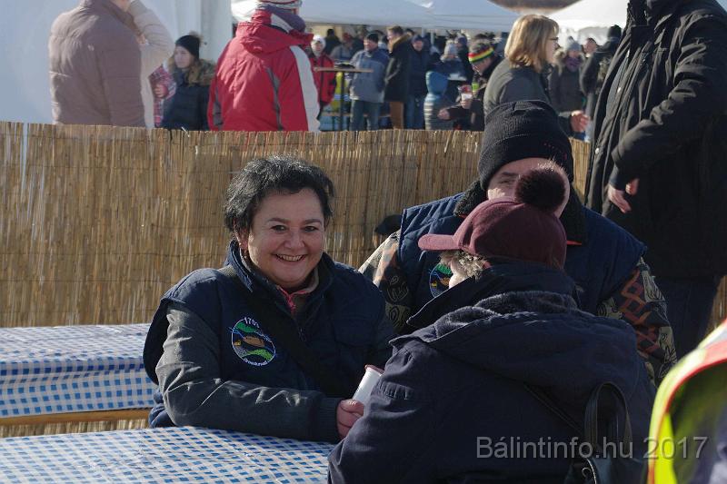 torokbalint_sautanz_fesztival_budakeszi_2017_044.JPG