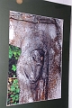 solymosipeter_fotokialitas_2010_29_