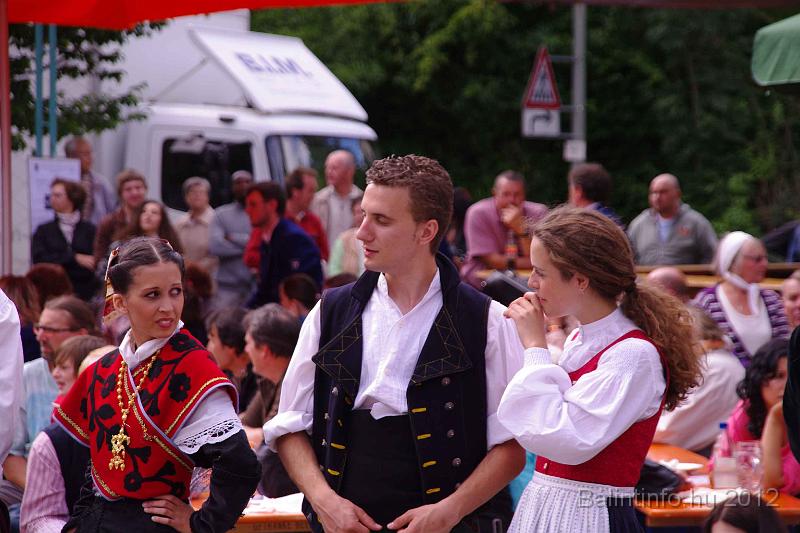 stadtfest-sussen_2012_0315.jpg
