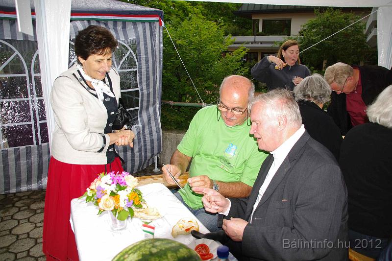 stadtfest-sussen_2012_0343.jpg