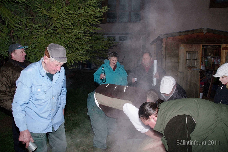 svab_disznovagas_2011_0007.jpg