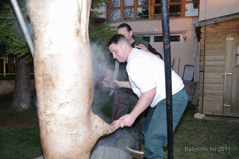svab_disznovagas_2011_0018.jpg