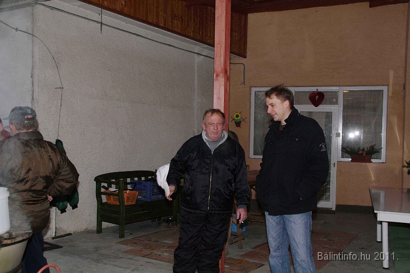 svab_disznovagas_2011_0022.jpg