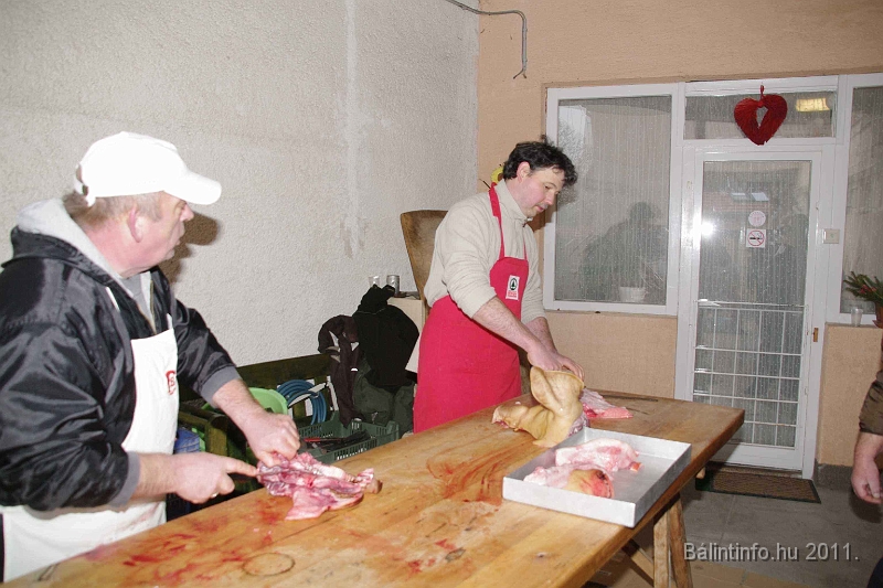 svab_disznovagas_2011_0029.jpg