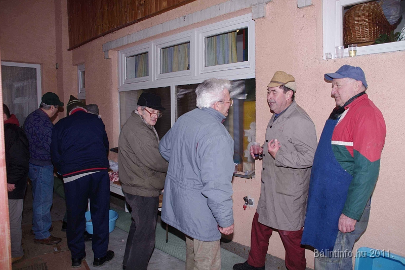 svab_disznovagas_2011_0035.jpg