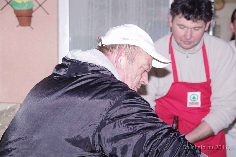 svab_disznovagas_2011_0036.jpg