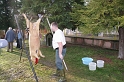 svab_disznovagas_2011_0023