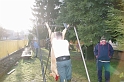svab_disznovagas_2011_0026