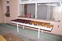 svab_disznovagas_2011_0056