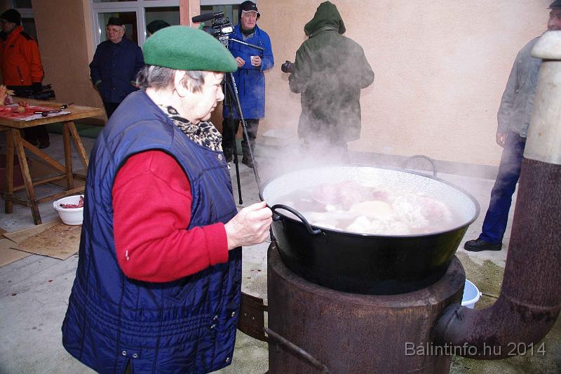 svab_disznovagas_torokbalint_2014_019.jpg