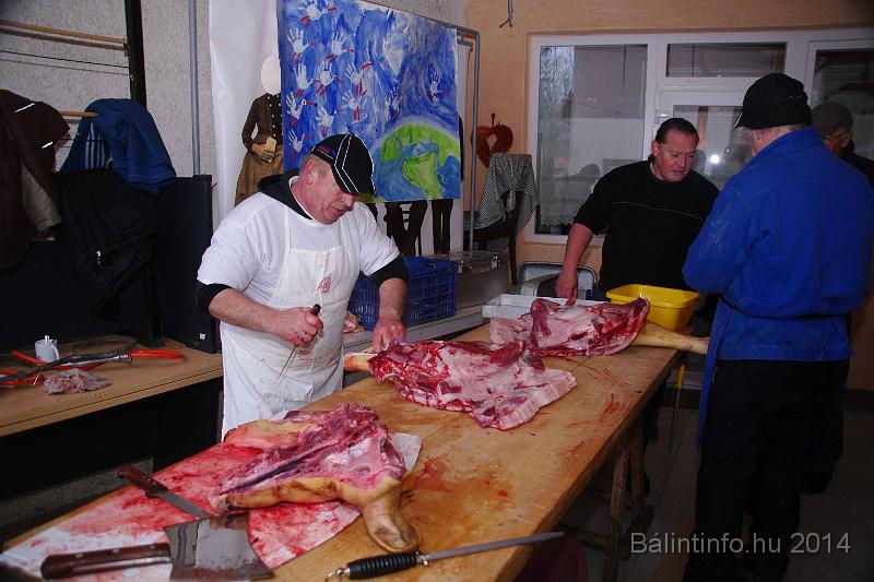 svab_disznovagas_torokbalint_2014_020.jpg
