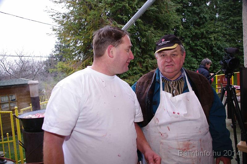 svab_disznovagas_torokbalint_2014_029.jpg