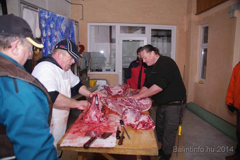 svab_disznovagas_torokbalint_2014_033.jpg