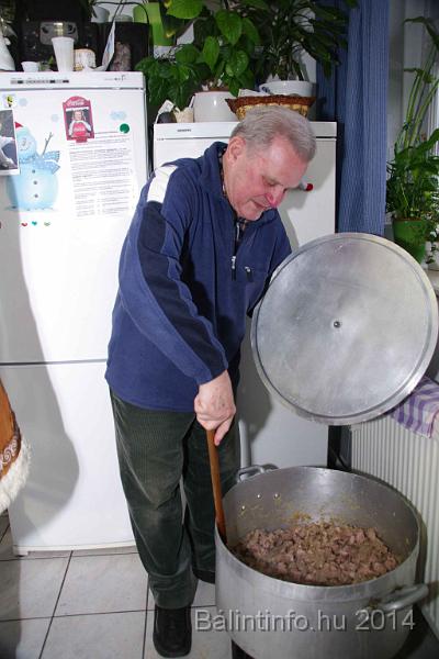 svab_disznovagas_torokbalint_2014_037.jpg