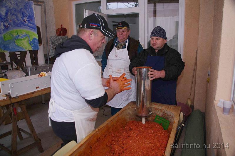svab_disznovagas_torokbalint_2014_065.jpg