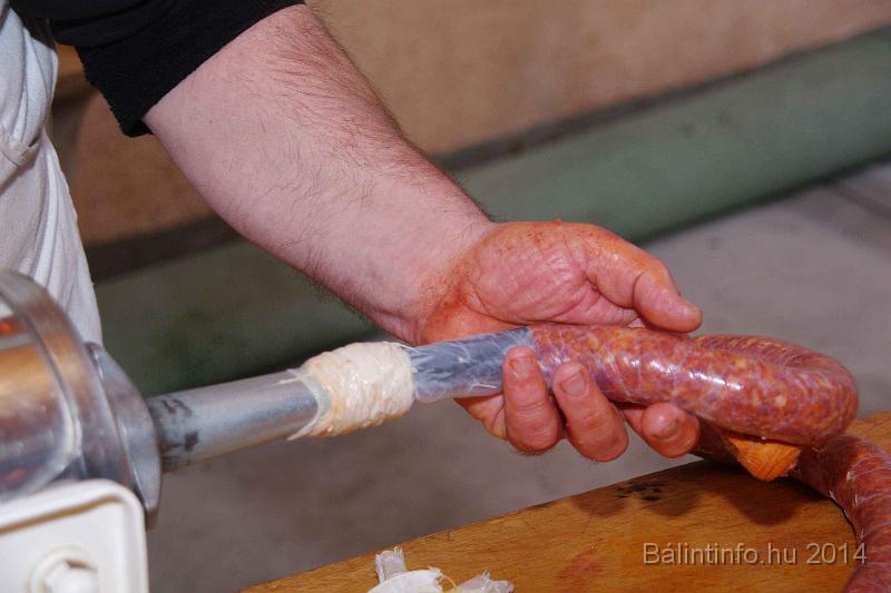 svab_disznovagas_torokbalint_2014_069.jpg