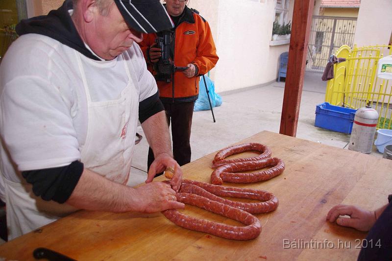 svab_disznovagas_torokbalint_2014_070.jpg