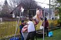 svab_disznovagas_torokbalint_2014_025