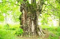 szekelyudvarhely_2010_075