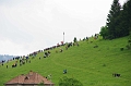 szekelyudvarhely_2010_112