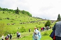 szekelyudvarhely_2010_127