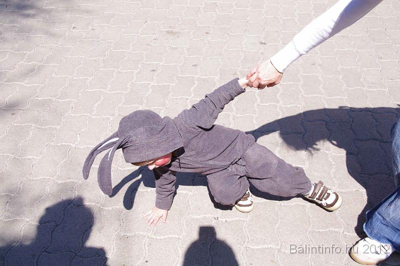 tabita_batorsagmenet_2012_033.jpg