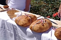 torokbalint_aug20_2011_065