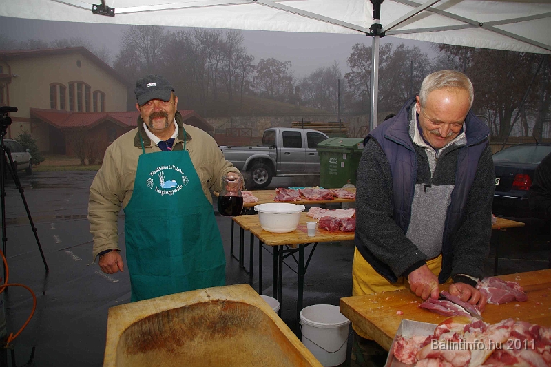 egyesuletek_napja_2011_005.jpg