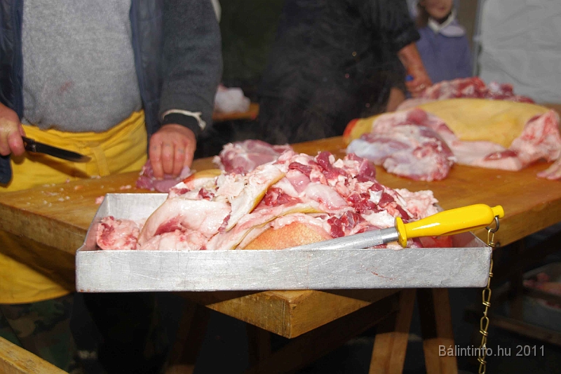 egyesuletek_napja_2011_006.jpg