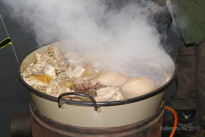 egyesuletek_napja_2011_041.jpg
