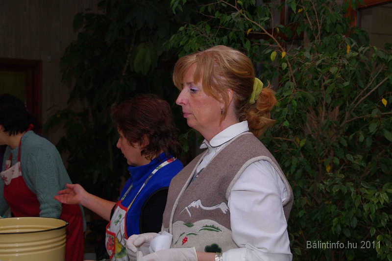 egyesuletek_napja_2011_085.jpg