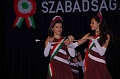 torokbalint_marcius15_2012_012