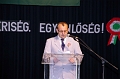 torokbalint_marcius15_2012_024