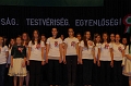 torokbalint_marcius15_2012_040