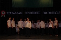 torokbalint_marcius15_2012_043