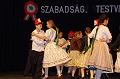 torokbalint_marcius15_2012_053