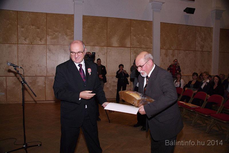 torokbalint_marcius_15_unnepseg_2014_091.JPG