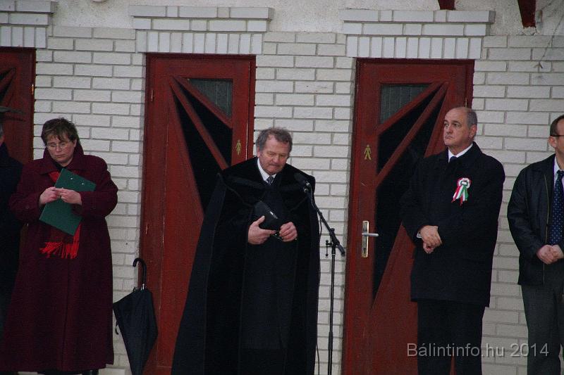 torokbalint_marcius_15_unnepseg_2014_099.JPG