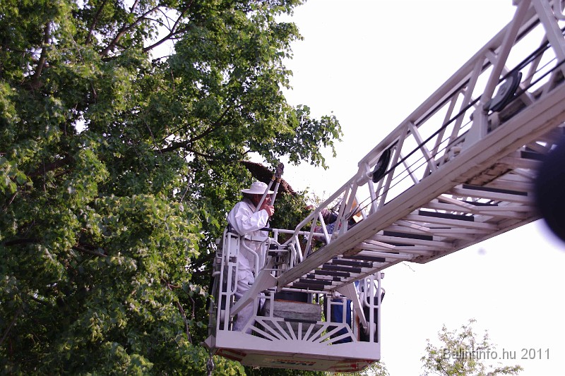 mehrajzas_torokbalint_2011_039.jpg