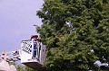mehrajzas_torokbalint_2011_021