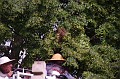mehrajzas_torokbalint_2011_027