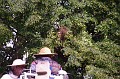mehrajzas_torokbalint_2011_029
