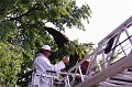 mehrajzas_torokbalint_2011_032