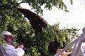 mehrajzas_torokbalint_2011_033