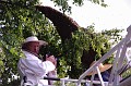 mehrajzas_torokbalint_2011_034