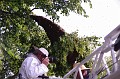 mehrajzas_torokbalint_2011_035