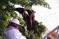 mehrajzas_torokbalint_2011_042